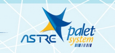 Palet system